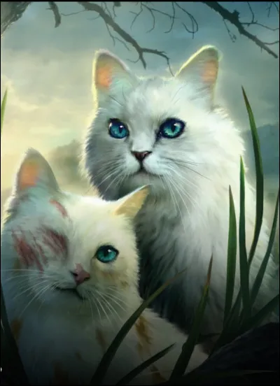 Qui est Cœur Blanc ?