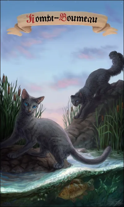 Qui est Patte de Brume ?