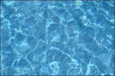 Quelle plante qui vit sous leau parmi ces propositions ?