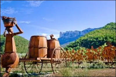 Diois : Le Diois est une r&eacute;gion &agrave; vocation agricole. Laquelle est la plus connue ?