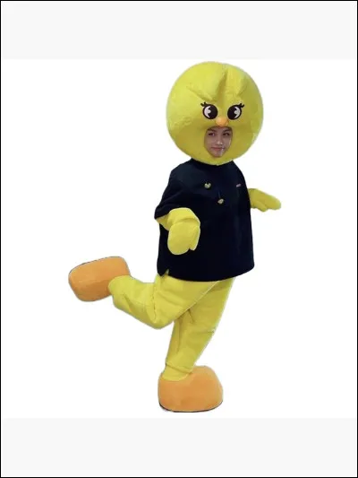 Quand ont-ils commencé à performer ?