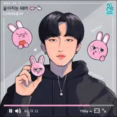 Qui est parti pour une carrière solo ?