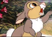 Quiz La culture gnrale sort un lapin de son chapeau