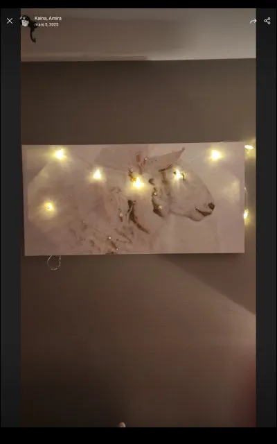 Pourquoi veux-tu te maquiller ?