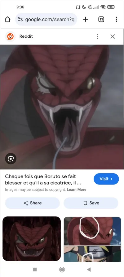 Quels animaux pr&eacute;f&egrave;res-tu ?