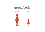 Quiz Petit ou grand ? (1)