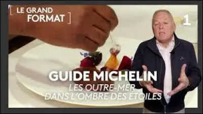 Quelle est la couleur du Guide Michelin « de référence » consacré aux hébergements, hôtels et restaurants ?
