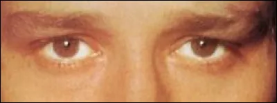 À quelle chanson se réfèrent ces yeux ?