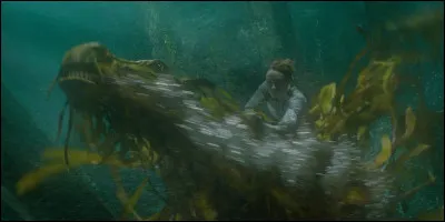 K : Est-ce que l'on voit des kelpies dans cette série ?