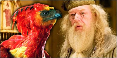 P : Comment se nomme le phénix de Dumbledore ?