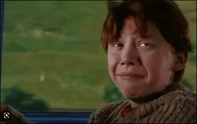 W : Quel membre des Weasley meurt pendant la bataille de Poudlard ?