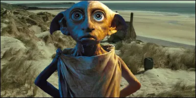 D : Parmi ces personnages, lequel est un elfe de maison ?