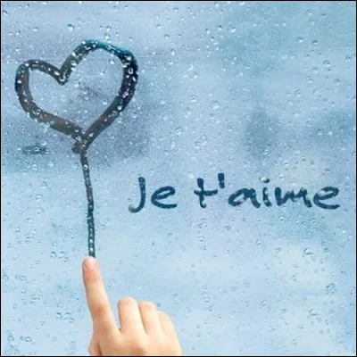 "Mais je t'aime" est une chanson du slameur Grand Corps Malade et de la chanteuse Camille Lellouche.