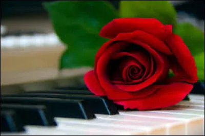 Combien y a-t-il de "mots sur un piano" d'après une chanson de Patrick Fiori, Christine Ricol et Jean-Jacques Goldman ?