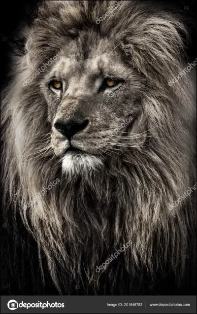 Quelle est ta couleur préférée ?