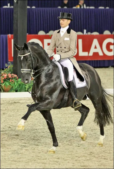 De quelle race était Totilas ?