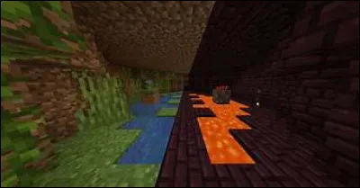 Quelle structure (sans compter la variante de fossile) peut apparaitre dans l'Overworld et le Nether ?