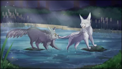 Il est en couple ou a été en couple.