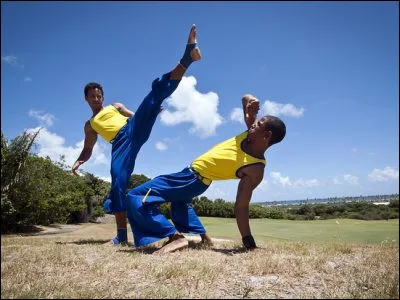 Quelle danse est originaire du Brésil et mélange arts martiaux et musique ?