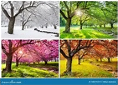 Deux papes sont régulièrement élus, mais ils ne peuvent pas être couronnés : 
Que se passe-t-il pour Étienne en 752 (entre Zacharie et Étienne II) ?