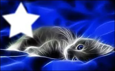 Ils ont été chefs.
(j'ai mis les noms de guerriers sinon c'est trop facile)