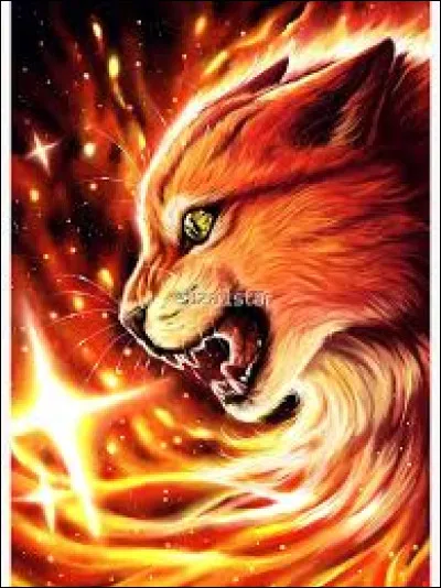 Qui a été le mentor d'Étoile de Feu ?