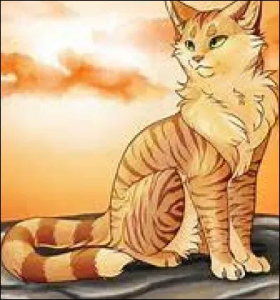 Vous tombez sur une patrouille du Clan de l'Ombre sur votre territoire ! Pelage de Lion t'envoie chercher des renforts. Que lui réponds-tu ?