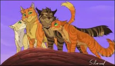 Tu cours au camp chercher de l'aide ! Tu as ramené...