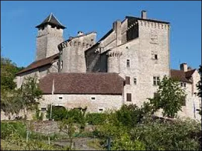 Je vous emmène au château de Salvagnac-Cajarc. Village de l'arrondissement de Villefranche-de-Rouergue, il se situe dans le département ...