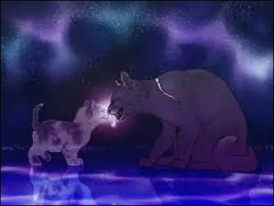 Quel est ton caractère ?