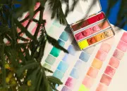 Quiz Les mlanges de couleurs !