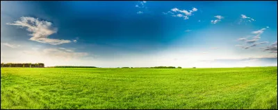 Si l'on mélange du bleu et du vert, on obtiendra...