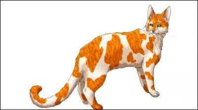 Qui est cette chatte ?