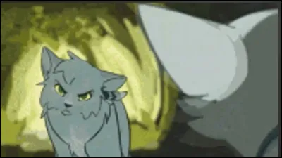 Qui sont ses chatons (Avec il de foudre) ?