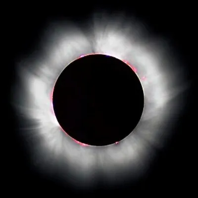 En quelle année, marquée par lattribution du Nobel de littérature à Günter Grass, leuro entre-t-il en usage sous forme scripturale dans 11 pays ?