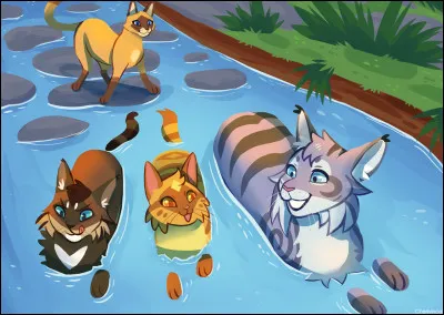 Quel animal choisis-tu ?