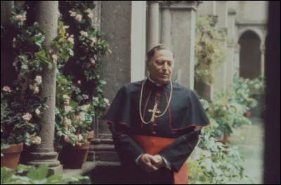 Dans un film de mafia, Raf Vallone interprète le pape Jean-Paul Ier. Quel est ce film ?