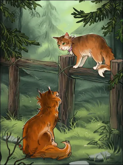 Les temps sont durs, et tu peines à survivre dans la forêt. Un jour, un chat domestique te propose de vivre avec lui chez les Bipèdes.
As-tu le droit d'accepter ?