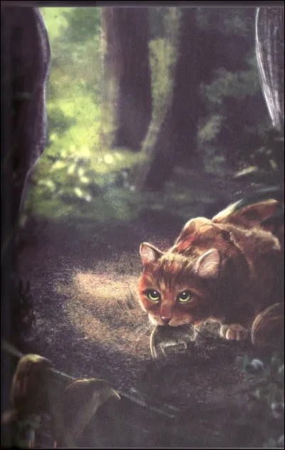 La mauvaise saison prend fin, et tu réussis à attraper deux grosses souris et un oiseau. 
Que dois-tu faire après chaque prise ?