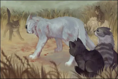 Maintenant, tu es un guerrier, et, alors que tu chasses, tu aperçois deux chatons du Clan de l'Ombre se débattant dans la rivière, en danger de mort.
Que dois-tu faire ?