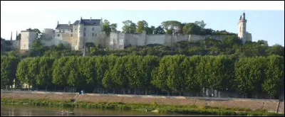 Dans quel château, Jeanne d'Arc rencontre-t-elle pour la première fois le roi de France Charles VII ?