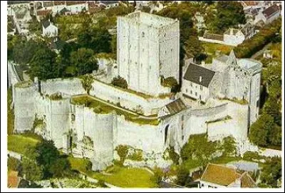 Voici la forteresse féodale de Loches dont on voit ici le puissant donjon, construite sur un long éperon rocheux dominant l'Indre et toute la région environnante.
Quel comte d'Anjou fut le bâtisseur de cette structure défensive ?
Un oiseau d'eau a le même non que ce puissant seigneur : Foulques.