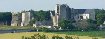 Mais d'où (département d'Indre-et-Loire), Jeanne et Charles partirent-ils pour bouter les Anglais hors de France ?