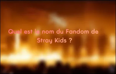Comment se nomme le fandom de Stray Kids ?