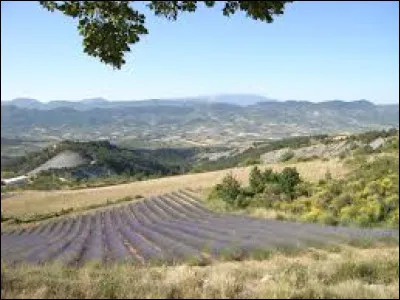 Quel est cette petite région historique, correspondant à un massif de moyenne montagne qui s'étend sur le sud-est du département ?