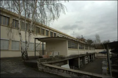 Quelle activité industrielle a fait la prospérité de Romans-sur-Isère, jusqu'aux années 1990, avant de quasiment disparaître ?