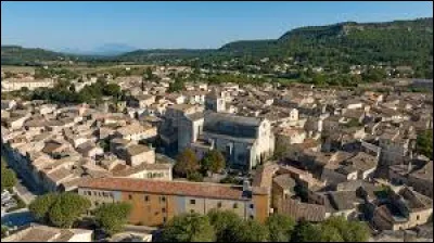 Quelle est cette petite ville du 8 000 habitants, située dans la vallée du Rhône, au sud du département, connue pour son site, ses maisons anciennes et sa cathédrale ?