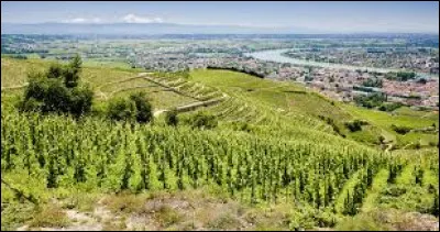 Quel est ce village du nord du département, situé en bordure du Rhône, connu pour ses vins rouges ?
