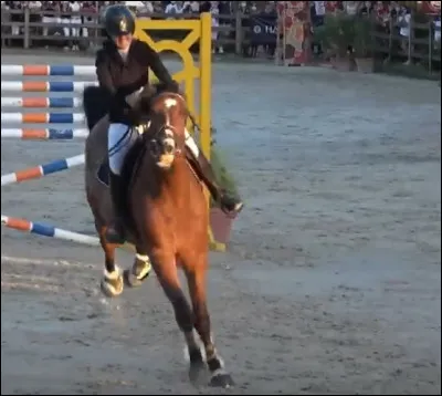 Le cheval que tu montes est...