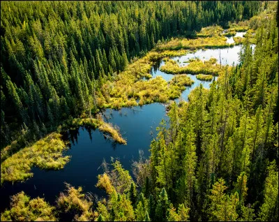 Quelle situation préfères-tu ?
